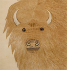 Buffallo Detail